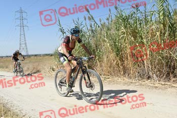 ANDREW LAINE Talajara 2018 39235