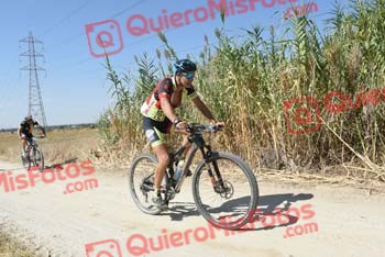 ANDREW LAINE Talajara 2018 39236