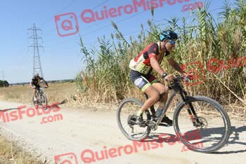 ANDREW LAINE Talajara 2018 39237