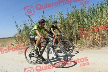 ALBERTO DEL OLMO Talajara 2018 39426