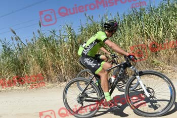 ALBERTO DEL OLMO Talajara 2018 39428