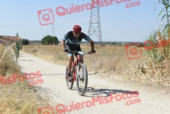 LUIS SOLERA QUIROGA Talajara 2018 39642