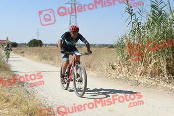 LUIS SOLERA QUIROGA Talajara 2018 39644