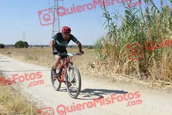 LUIS SOLERA QUIROGA Talajara 2018 39645