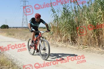 LUIS SOLERA QUIROGA Talajara 2018 39646