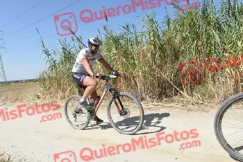 Talajara 2018 40094