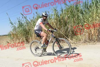 Talajara 2018 40095