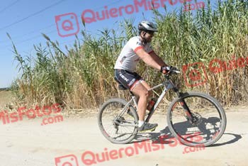 Talajara 2018 40096