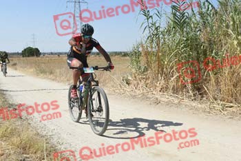 LUIS ENRIQUE CALONGE PIZARRO Talajara 2018 40360