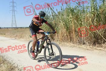 LUIS ENRIQUE CALONGE PIZARRO Talajara 2018 40363