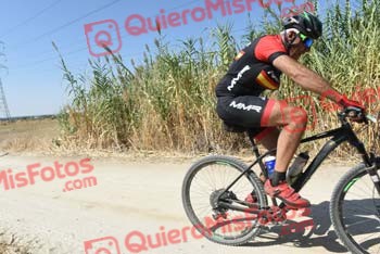 LUIS ENRIQUE CALONGE PIZARRO Talajara 2018 40366