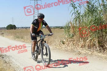 SINDO DIZ LORENZO Talajara 2018 40443