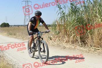 SINDO DIZ LORENZO Talajara 2018 40444