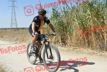 SINDO DIZ LORENZO Talajara 2018 40446