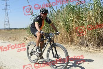 SINDO DIZ LORENZO Talajara 2018 40447