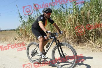 SINDO DIZ LORENZO Talajara 2018 40448