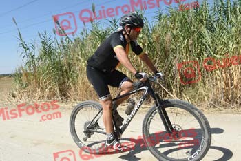 SINDO DIZ LORENZO Talajara 2018 40449