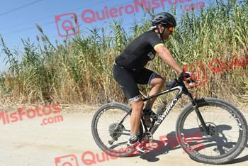 SINDO DIZ LORENZO Talajara 2018 40450