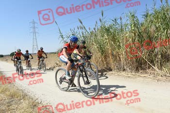 PHIL TALBUTT Talajara 2018 40530