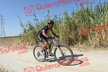 JESUS CARRILLO FERNANDEZ Talajara 2018 40608