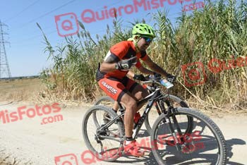 LUIS BERMEJO NEBREDA Talajara 2018 40800