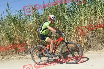 JOSE LUIS MARCO MORENO Talajara 2018 41036