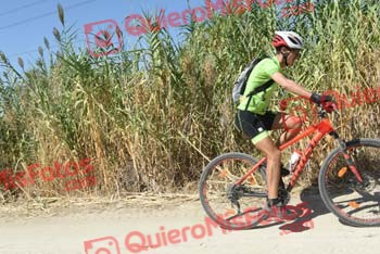 JOSE LUIS MARCO MORENO Talajara 2018 41037