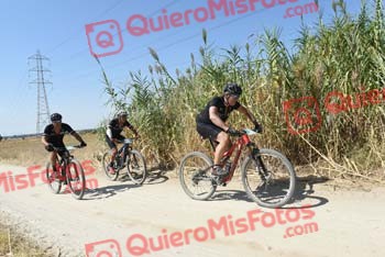 JOSE LUIS MARTIN NEVADO Talajara 2018 41389