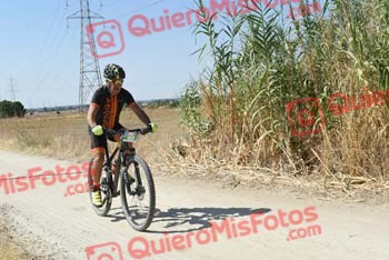 GREGORIO RODELGO ROLDAN Talajara 2018 41402