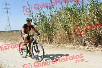 GREGORIO RODELGO ROLDAN Talajara 2018 41404