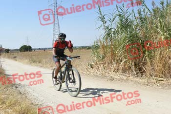 FRANCISCO MUNOZ MATEO Talajara 2018 41565