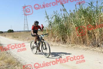 FRANCISCO MUNOZ MATEO Talajara 2018 41567