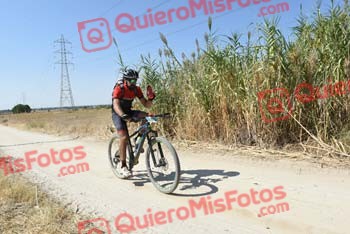 FRANCISCO MUNOZ MATEO Talajara 2018 41569