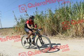 FRANCISCO MUNOZ MATEO Talajara 2018 41571