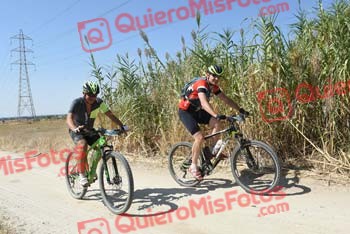 JAVIER PALOMAR SALTO Talajara 2018 41641
