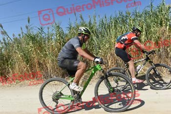 JAVIER PALOMAR SALTO Talajara 2018 41647