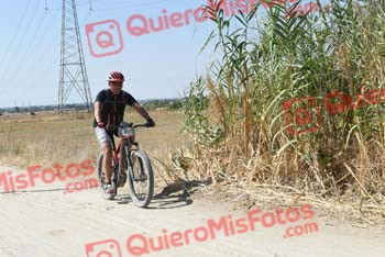 PEDRO GALLARDO DIAGO Talajara 2018 42156