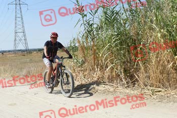 PEDRO GALLARDO DIAGO Talajara 2018 42157