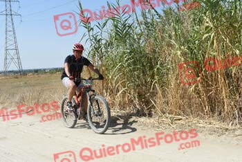 PEDRO GALLARDO DIAGO Talajara 2018 42158