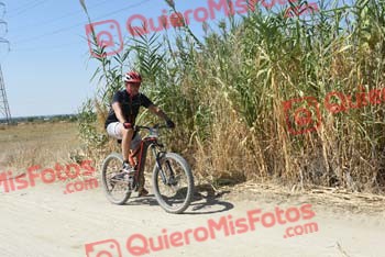 PEDRO GALLARDO DIAGO Talajara 2018 42159
