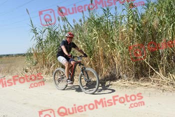 PEDRO GALLARDO DIAGO Talajara 2018 42160