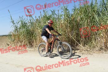 PEDRO GALLARDO DIAGO Talajara 2018 42161