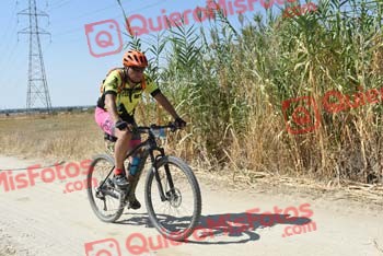 JOSE IGNACIO DE SANDE ROBLEDO Talajara 2018 42166