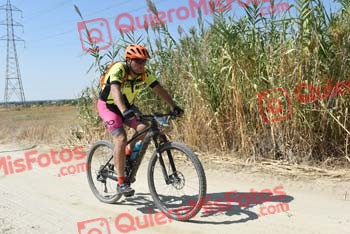 JOSE IGNACIO DE SANDE ROBLEDO Talajara 2018 42167