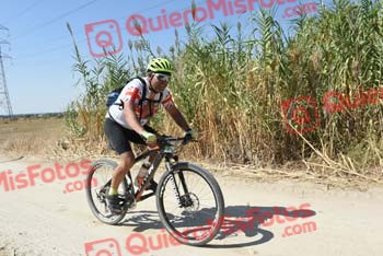 ISMAEL HERRERA ESTEBAN Talajara 2018 42185