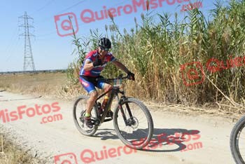 MANUEL JIMENEZ BELVIS Talajara 2018 42328