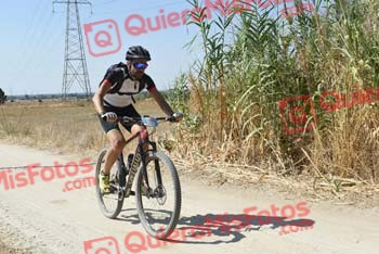 NACHO PRIETO VICENTE Talajara 2018 42410