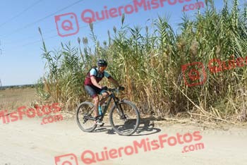 RAUL MARTIN DEL MORAL Talajara 2018 42539