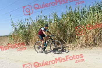 RAUL MARTIN DEL MORAL Talajara 2018 42540