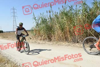 JULIAN GIBELLO MUNOZ Talajara 2018 42584